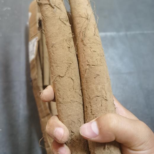 丨生态丨新鲜牛蒡 5斤一箱 商品图1