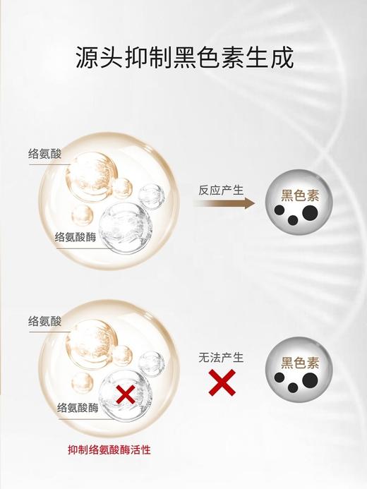 城野医生377VC美白淡斑精华液28g 商品图2