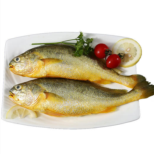 冰鲜黄花鱼 /条 商品图1