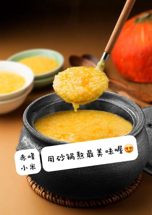 拍前联系客服会保养再拍 ，非物质文化遗产雅安荥经砂锅炖锅耐热明火高温养生煮粥煲汤炖鸡等好锅 商品图3