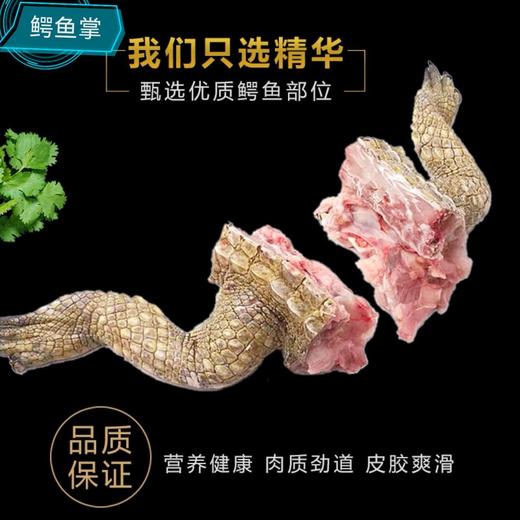 鳄鱼掌1千克 商品图1