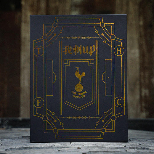 耐克托特纳姆热刺21-22赛季主场球迷版短袖球衣CV7918-101 商品图4