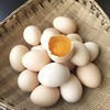 【活动特惠】永州土鸡蛋白壳/绿壳，收货请放冰箱冷藏保存，鸡蛋摆放方式小头朝下，大头朝上。个人方法保存不当一律不售后！满88包邮 商品缩略图9