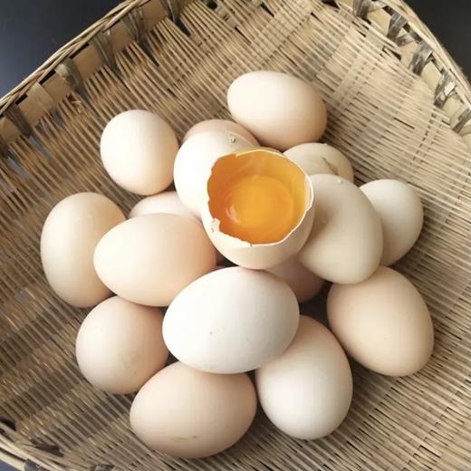【活动特惠】永州土鸡蛋白壳/绿壳，收货请放冰箱冷藏保存，鸡蛋摆放方式小头朝下，大头朝上。个人方法保存不当一律不售后！满88包邮 商品图9