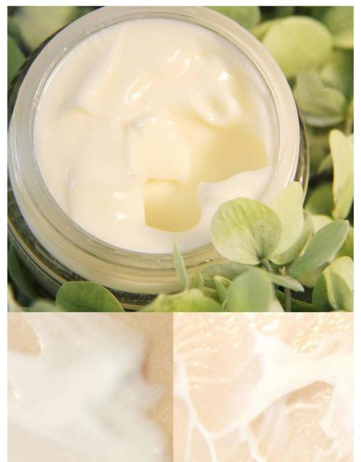 【中欧班列精选】日本蜜梨品牌六胜肽面霜 50g /瓶  新老版本随机发   授权直供 商品图7