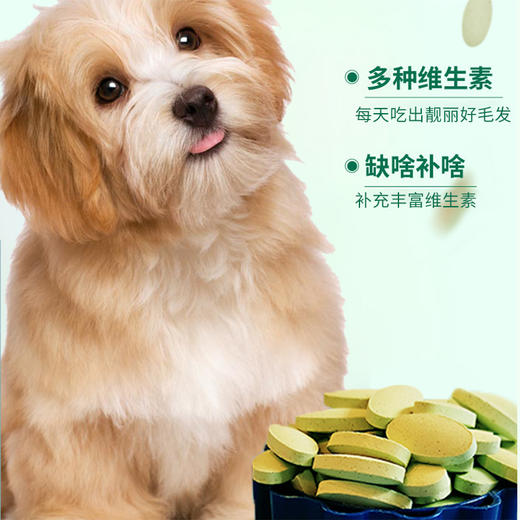 道力其复合维生素片180粒 宠物营养补充剂 猫犬通用 商品图4