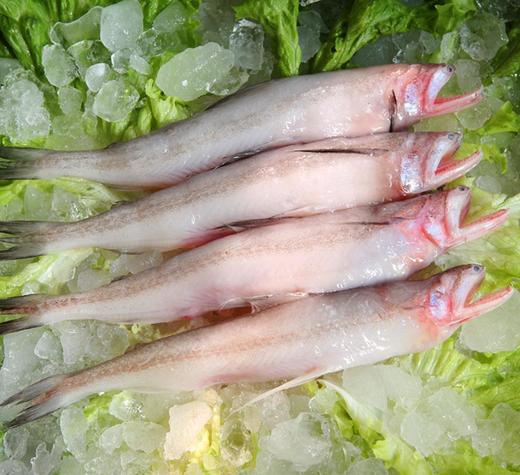精品豆腐鱼 /斤 商品图1