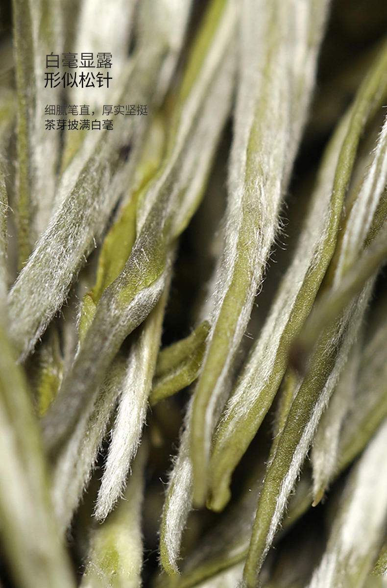 山绿茶生态毫峰芽尖云南大叶种茶100克罐装 - 高黎贡山茶叶官方旗舰店