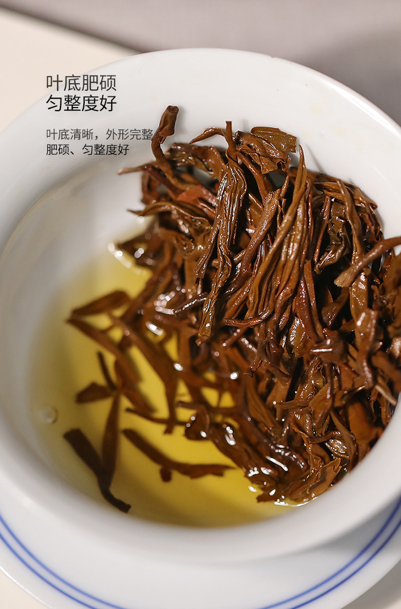 2021年高黎贡山有机红茶盒装 云南滇红茶 100克(25袋×4克)