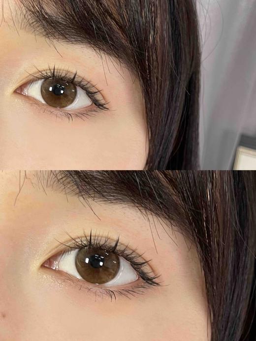 年抛 Bebebest Susu鹿茶棕14.2
susu棕 商品图1