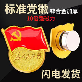 新版标准型党徽别针磁铁胸章