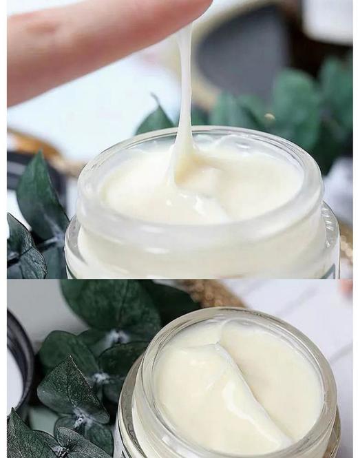 【中欧班列精选】日本蜜梨品牌六胜肽面霜 50g /瓶  新老版本随机发   授权直供 商品图6