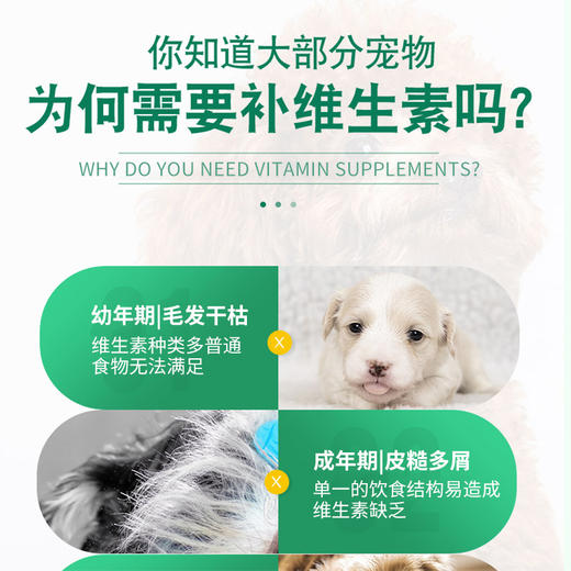 道力其复合维生素片180粒 宠物营养补充剂 猫犬通用 商品图2