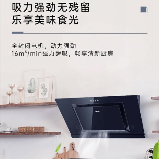 海尔（Haier）烟机CXW-200-E900C2S 商品图2