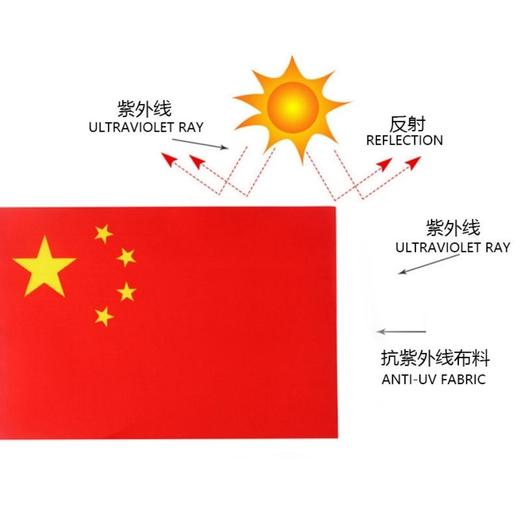 8号小党旗国旗手摇小旗【5面-50面】 商品图5