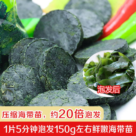 福建东山岛新品特产无沙无盐压缩海带片 商品图0