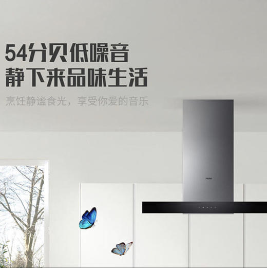 海尔（Haier）烟机CXW-219-T2901 商品图5