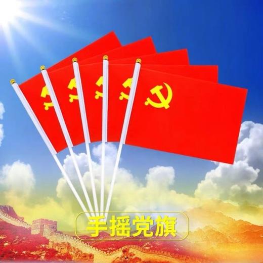 8号小党旗国旗手摇小旗【5面-50面】 商品图7