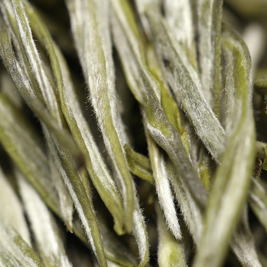 2021春茶高黎贡山绿茶生态毫峰芽尖云南大叶种茶100克罐装