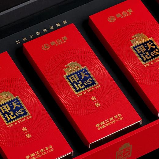 手尚工夫茶业  印记天心·天心岩肉桂 商品图3