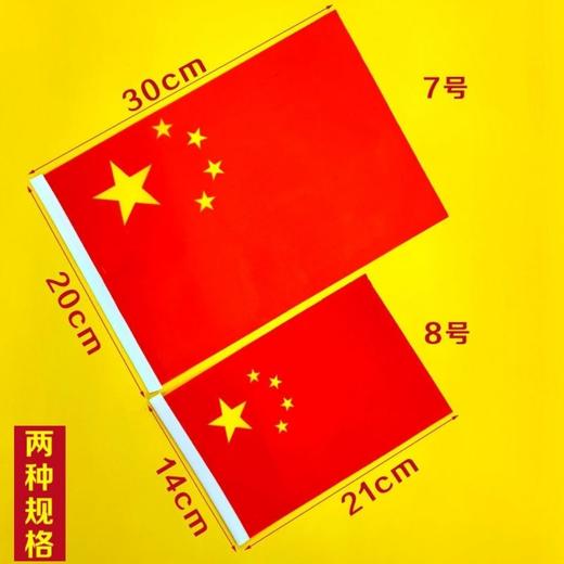 8号小党旗国旗手摇小旗【5面-50面】 商品图4