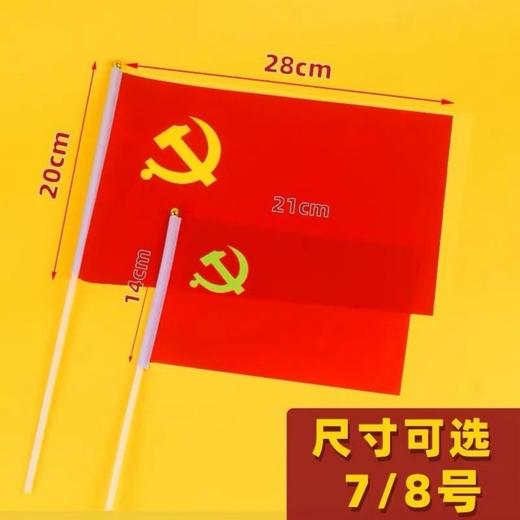 8号小党旗国旗手摇小旗【5面-50面】 商品图3