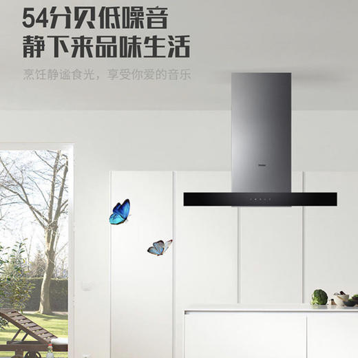 海尔（Haier）烟机CXW-219-T2901 商品图6