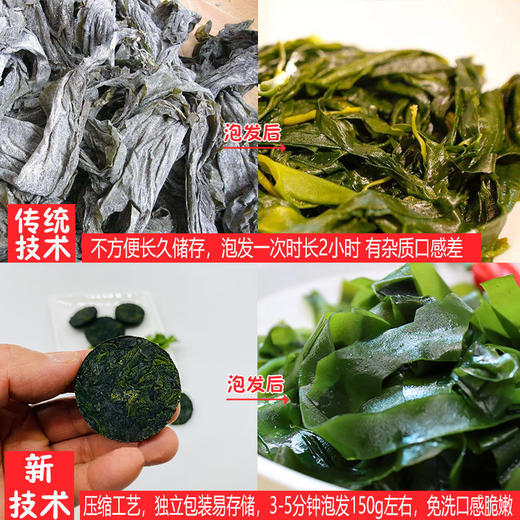 福建东山岛新品特产无沙无盐压缩海带片 商品图7