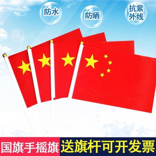 8号小党旗国旗手摇小旗【5面-50面】 商品图2