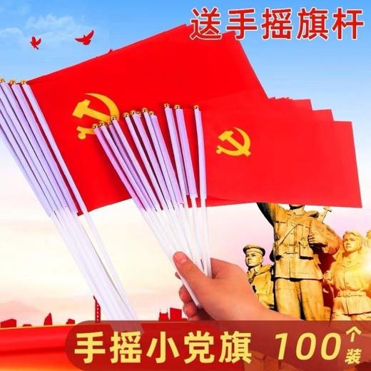 8号小党旗国旗手摇小旗【5面-50面】 商品图1