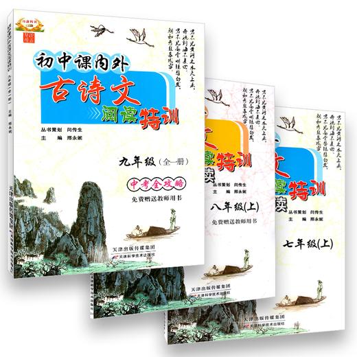 初中课内外古诗文阅读特训七年级上册八年级上册九年级全一册中考全攻略 商品图0