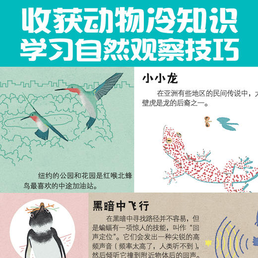城市里的野生动物朋友（全4册） 商品图3