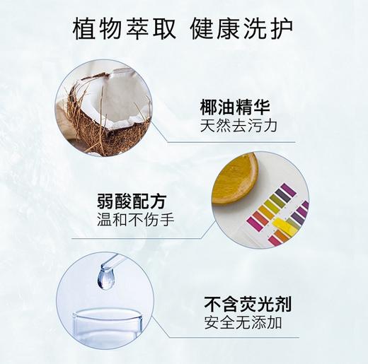 芝芙莲内衣洗衣夜（芬芳莲香) 商品图8