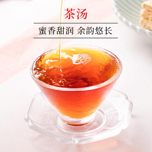 文新信阳红茶240g怡红礼盒 商品图2