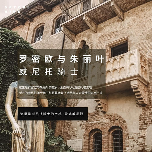 【米其林餐厅特约合作酒庄】意大利威尼托骑士半干红葡萄酒 意大利原瓶进口 商品图4