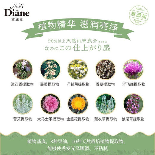 黛丝恩（Moist Diane） 植萃无硅油洗发水留香蓬松控油洗发露洗护套装 -滋润养护 商品图1