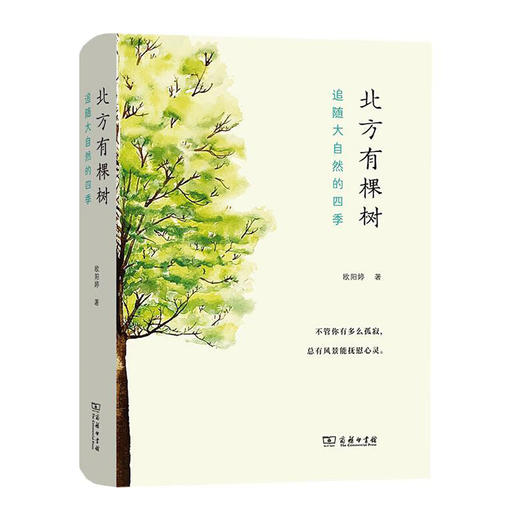 北方有棵树:追随大自然的四季(精)/商务印书馆出版社/欧阳婷/9787100189262 商品图0