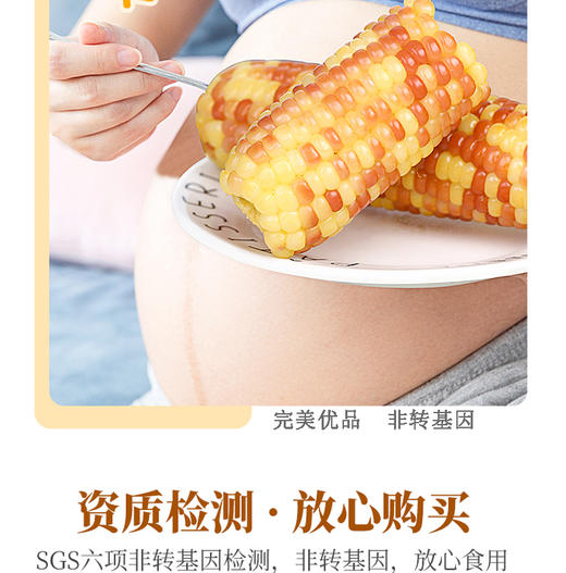 东北营养甜糯玉米200g*16 商品图3