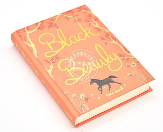 现货 黑美人 英文原版小说 英文版 Black Beauty Anna Sewell 世界经典儿童文学 wordsworth精装收藏版 青少年课外阅读 商品图1