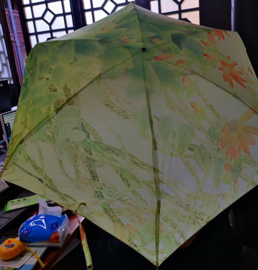 凝翠口袋伞（定制案例） 商品图0