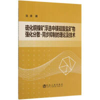 硫化铜镍矿浮选中镁硅酸盐矿物强化分散-同步抑制的理论及技术/龙涛 商品图0