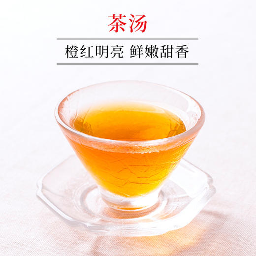 文新信阳红茶经典畅销观红系列60g 商品图1