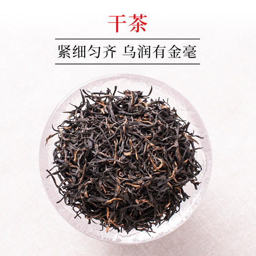 文新信阳红茶经典畅销怡红60g 商品图2
