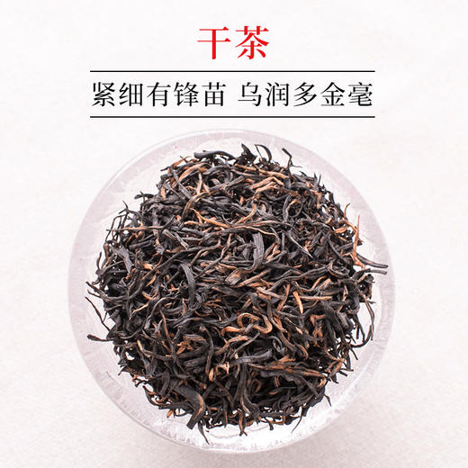 文新信阳红茶经典畅销正红礼盒240g 商品图1