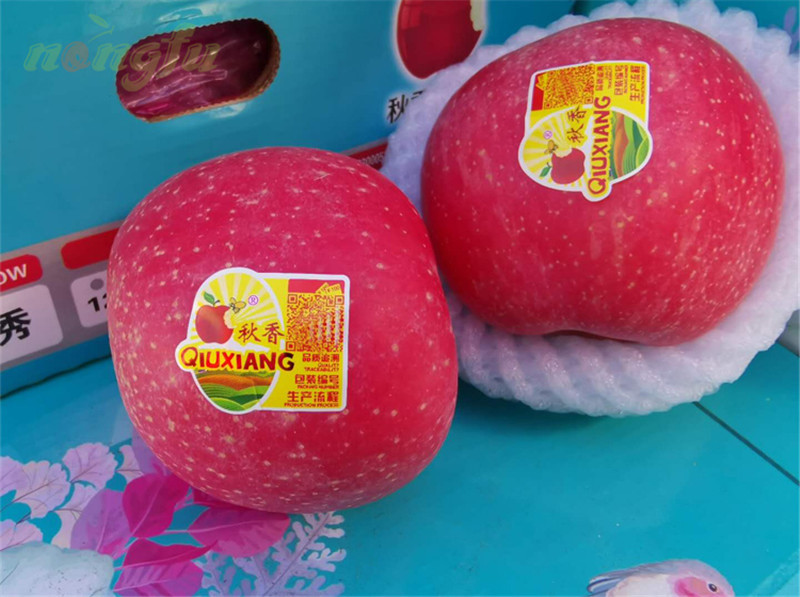 秋香精品烟台富士