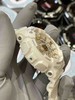3⃣️G-Shock白金色（大表盘），亏本清仓特价🉐️ 商品缩略图6