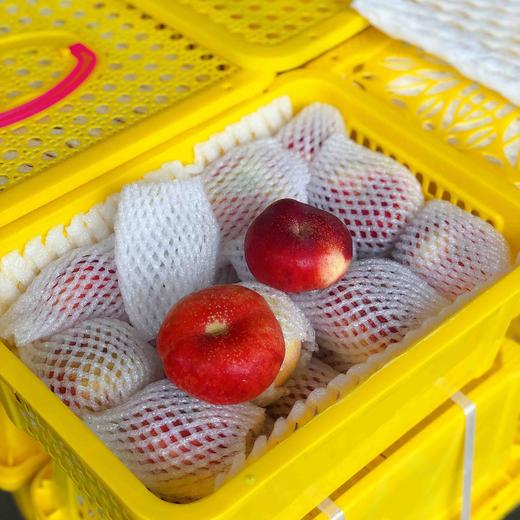 【纽扣蟠桃】新疆纽扣蟠桃，个头不大，桃味香浓，甜度高，好吃的一款当季水果！ 商品图8