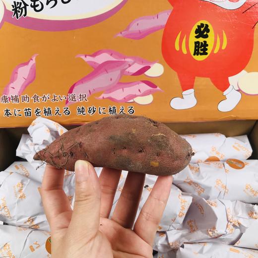 安纳芋地瓜日本引进品种薯口感绵密粉糯5斤盒健康主食替代者