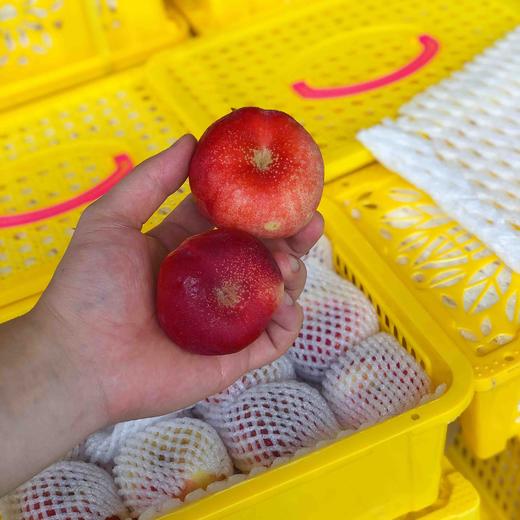 【纽扣蟠桃】新疆纽扣蟠桃，个头不大，桃味香浓，甜度高，好吃的一款当季水果！ 商品图9