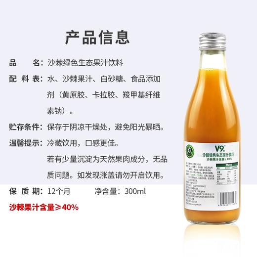 V9沙棘绿色生态果汁饮料 商品图2